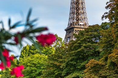 tours-13-free-img Tours photo
